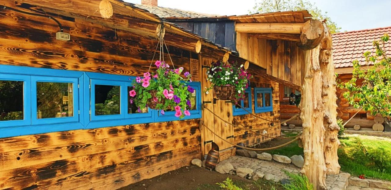 Hotel Valea Celor Doisprezece Piriu Dobreni Exteriér fotografie